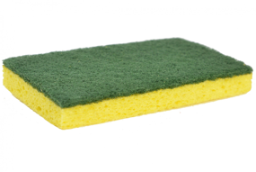 Sponges